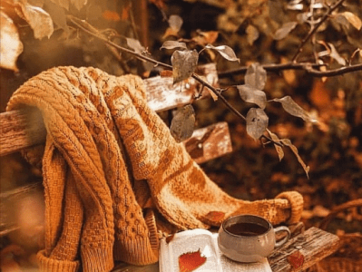 Spooky Season Watchlist